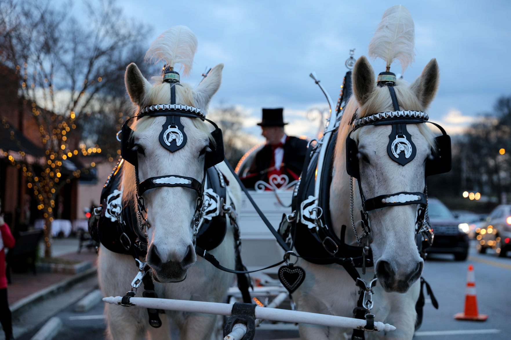Norcross Carriage Ride